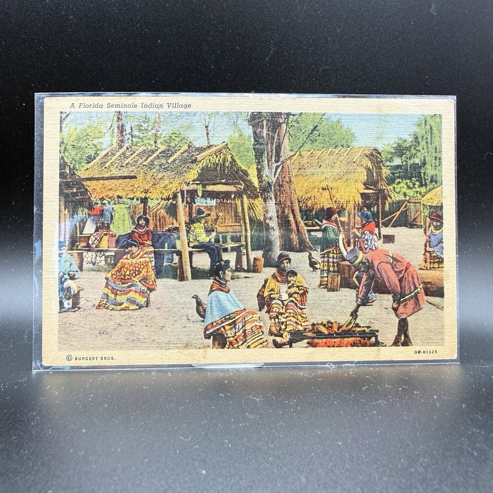 Vintage Postcard Florida Everglades Seminole Indian Village Cuteich